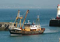 Newlyn fishing boat